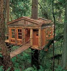 Tree House Plans on Tree House   Designers And Builders In   America    The   Firm   Has