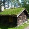 green roof design