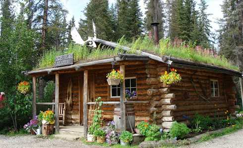 green roof design