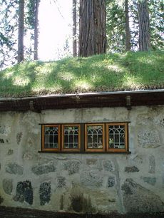 green roof design