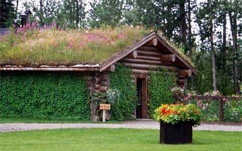 green roof design