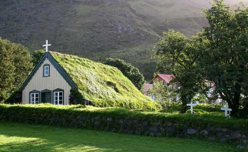 green roof design
