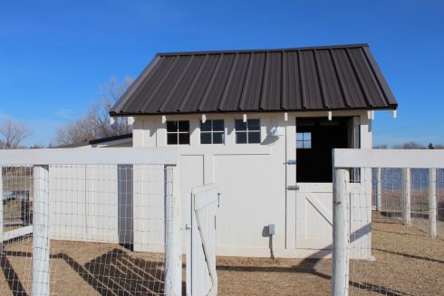 Hobby Farm Homes for HumansAND our Furry and Feathered 