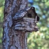 log cabin plans