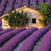 stone cottage designs
