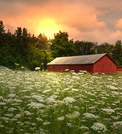 farm outbuilding