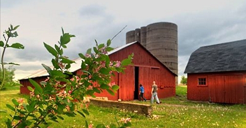 red barn