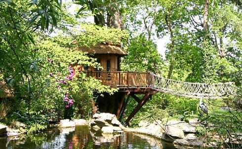 tree house designs