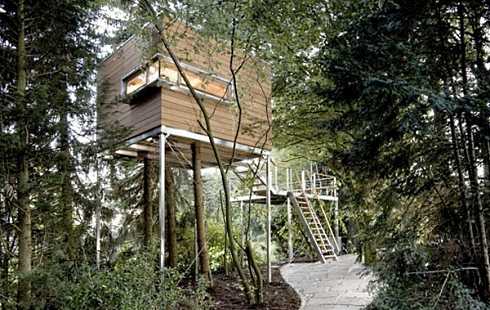 tree house design
