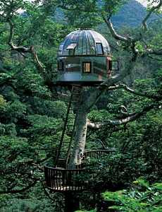 tree house designs