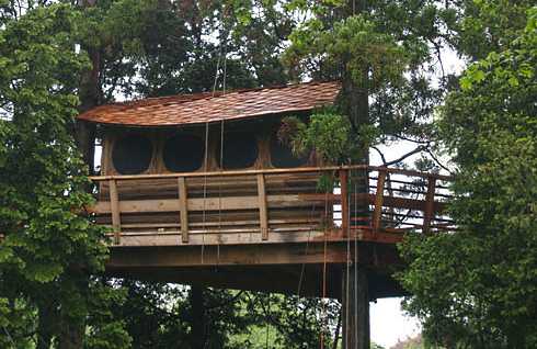 tree house designs