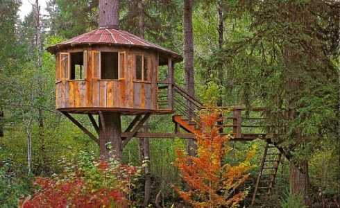 tree house designs