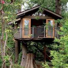 tree house designs