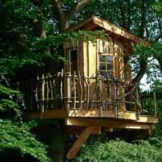 tree house designs