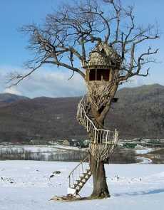 Standout Tree House Designs . . . Not Just for Kids Anymore!
