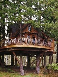 treehouse design