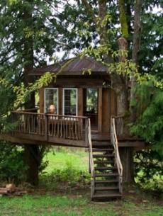 treehouse design