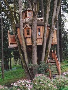 treehouse design