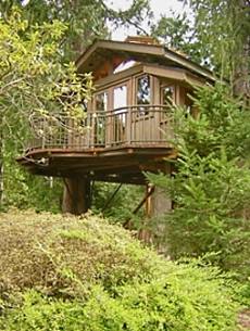 treehouse design