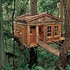 treehouse design