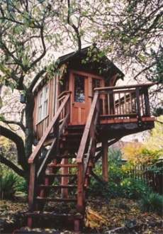 treehouse design