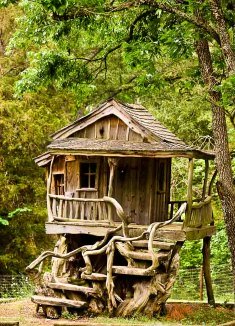 tree house