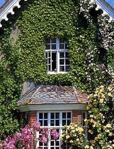 english cottage designs