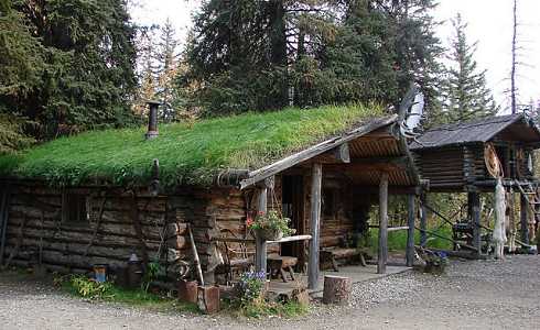 green roof design