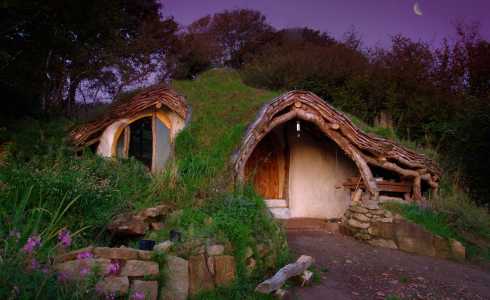 green roof design