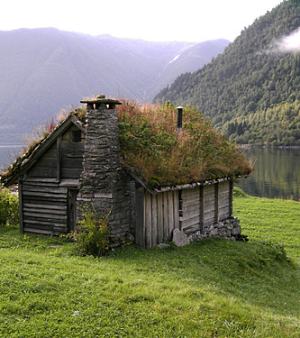 green roof design