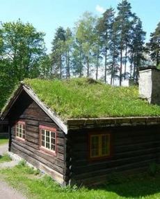 green roof design