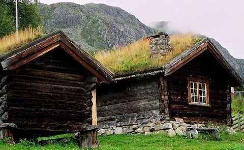 green roof design