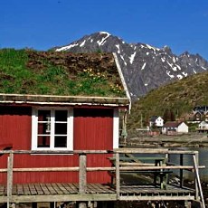 green roof design