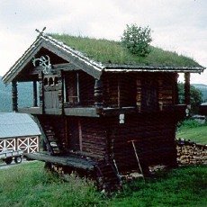 green roof design