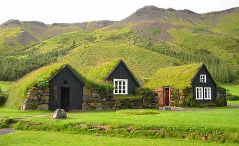 green roof design