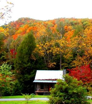 log cabin homes