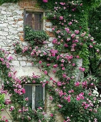 stone cottage architecture