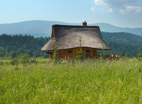 tiny house plans