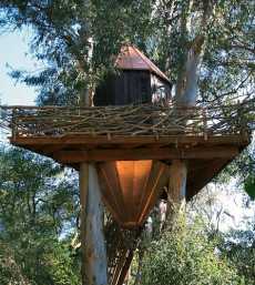 tree house designs