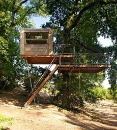 tree house designs