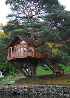 tree house designs