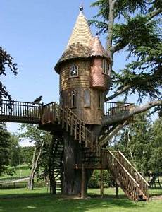 tree house designs