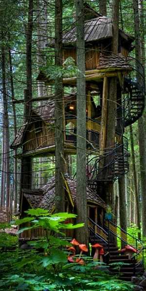 tree house designs