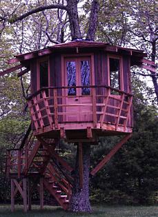 tree house designs