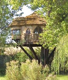 tree house designs