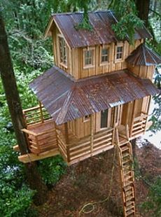 treehouse design