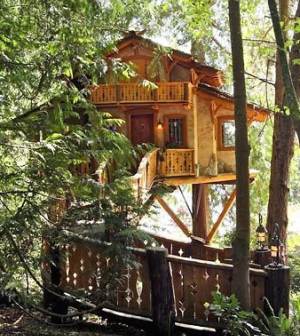 treehouse design