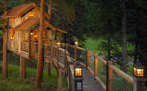 treehouse design