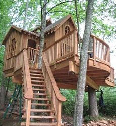 treehouse design