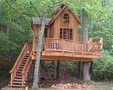 treehouse design